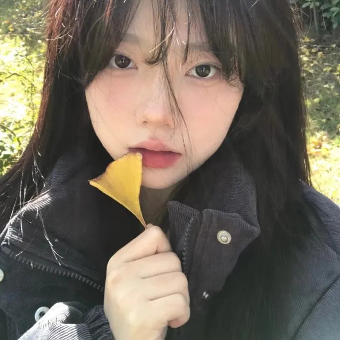冬天的女子 海报